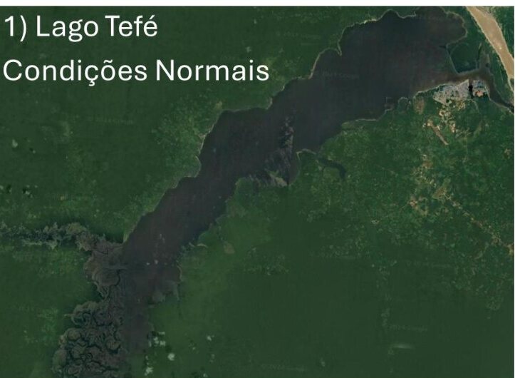 Imagem de satélite do Lago de Tefé em condição normal