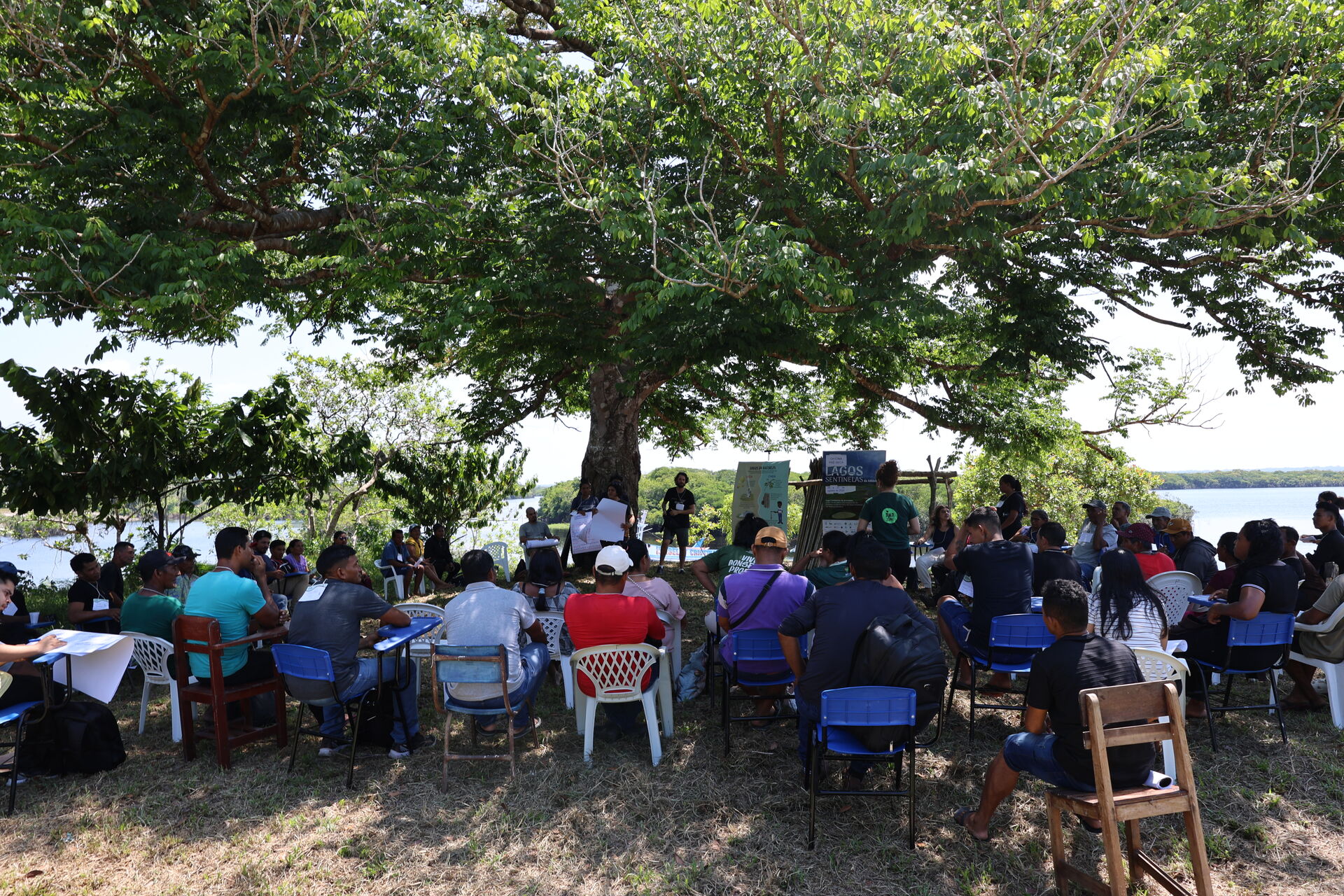 Plenária da Oficina Pré-Seca sob uma árvore grande, com dezenas de lideranças comunitárias