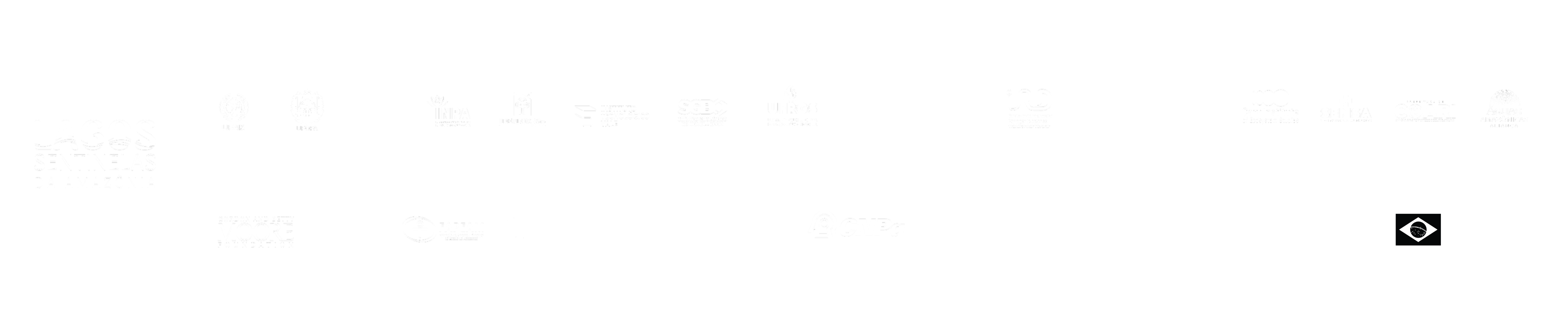 Régua de parceiros do projeto: instituições colaboradoras, apoio, financiador CNPq e coordenação Instituto Mamirauá e Ministério da Ciência, Tecnologia e Inovação